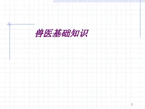兽医基础知识.ppt