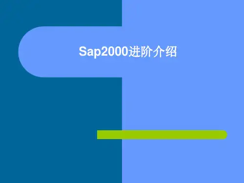 sap2000常见问题详解