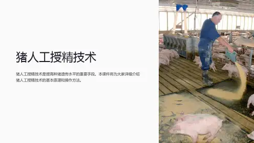《猪人工授精技术》课件