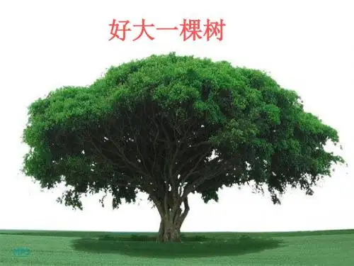 蒸腾作用课件PPT 5 北师大版