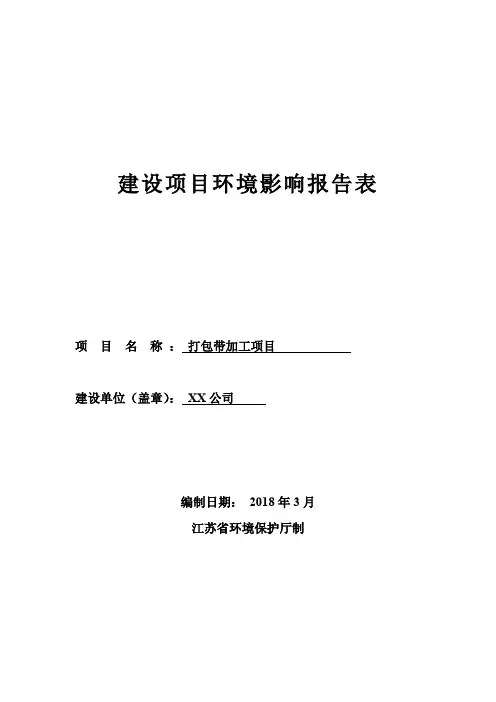 打包带加工项目环境影响报告表【模板】