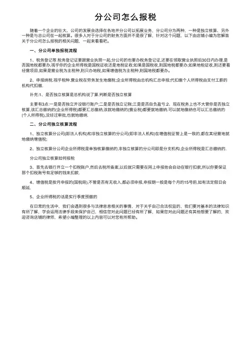 分公司怎么报税