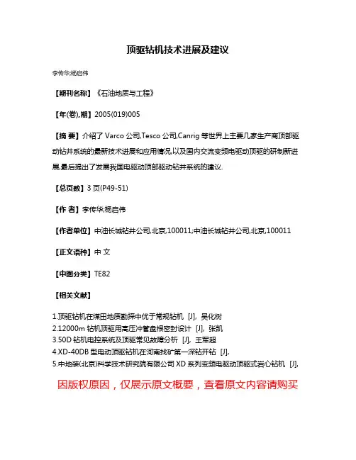 顶驱钻机技术进展及建议