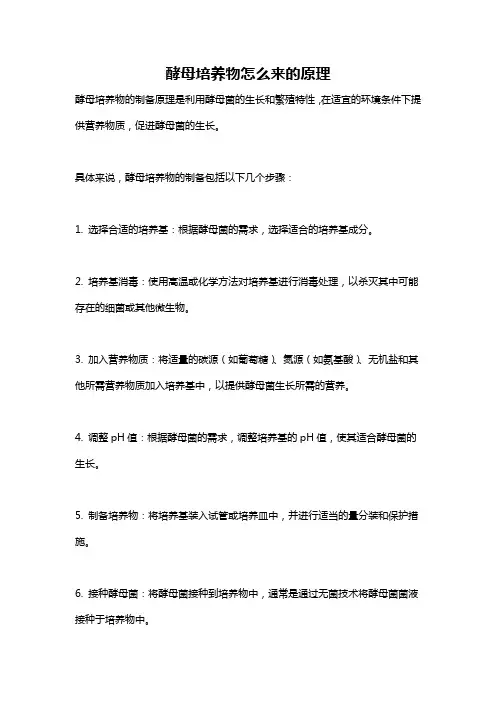 酵母培养物怎么来的原理