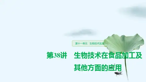 高考生物一轮复习：生物技术在食品加工及其他方面的应用优质课件
