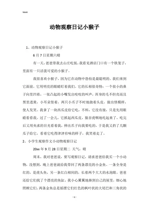动物观察日记小猴子