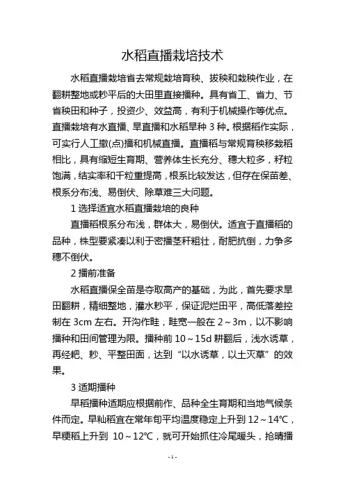 水稻直播栽培技术          
