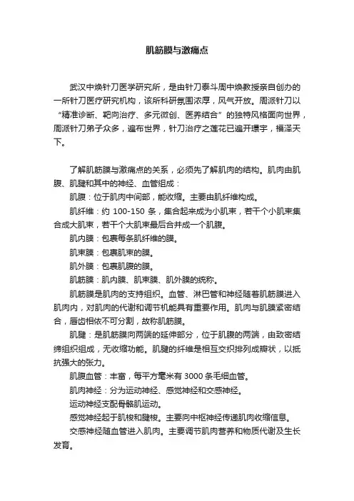 肌筋膜与激痛点
