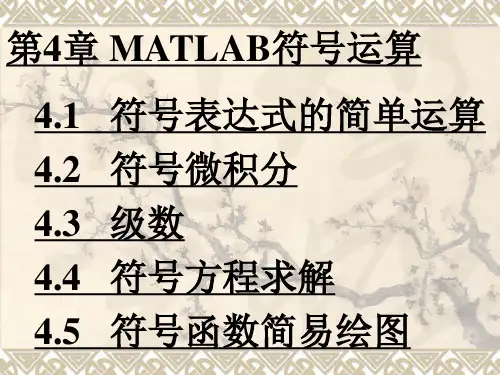 第四章  MATLAB符号计算
