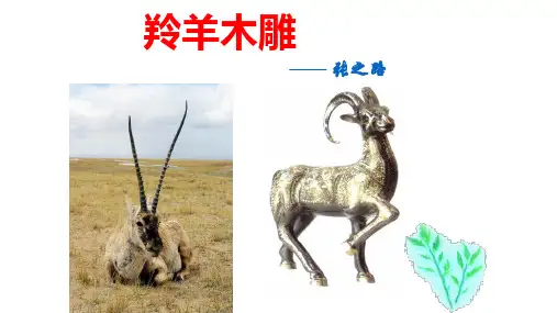 《羚羊木雕》ppt课件