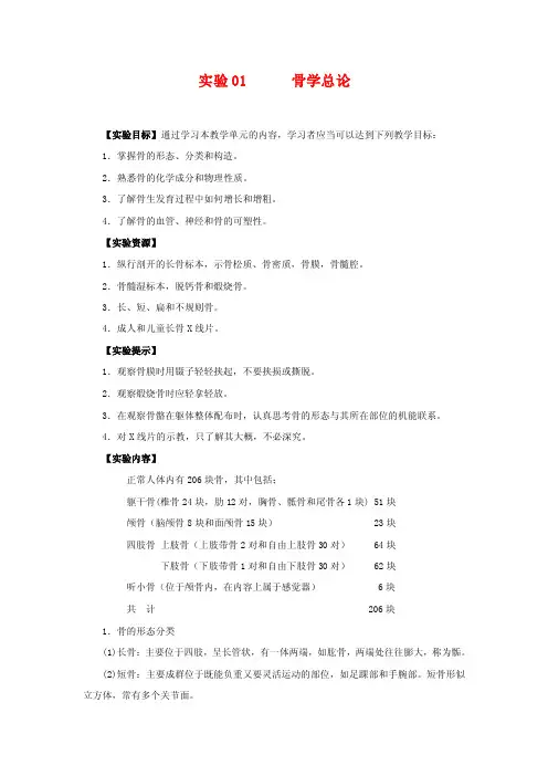 实验01骨学总论