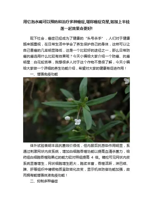 用它泡水喝可以预防和治疗多种癌症,堪称癌症克星,如加上半枝莲一起效果会更好!