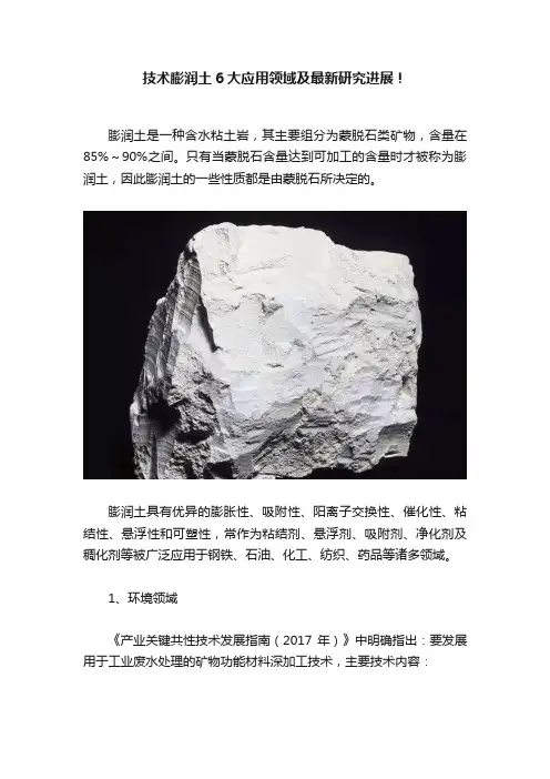技术膨润土6大应用领域及最新研究进展！