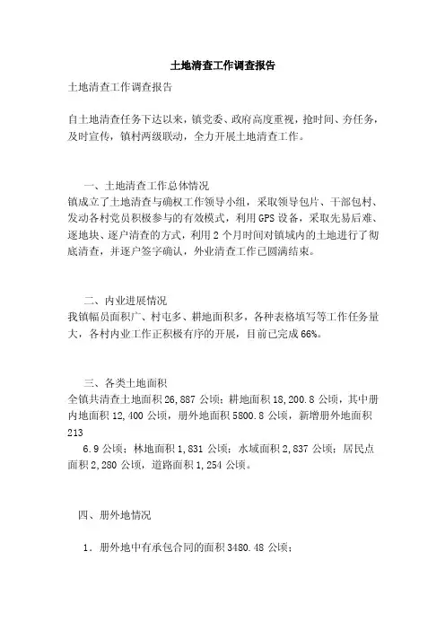 土地清查工作调查报告（完整版）