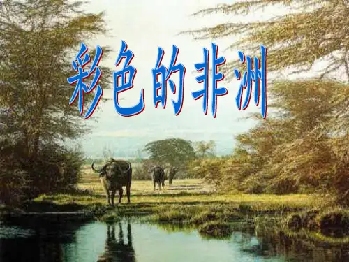 语文五年级下人教新课标28《彩色的非洲》课件(113)
