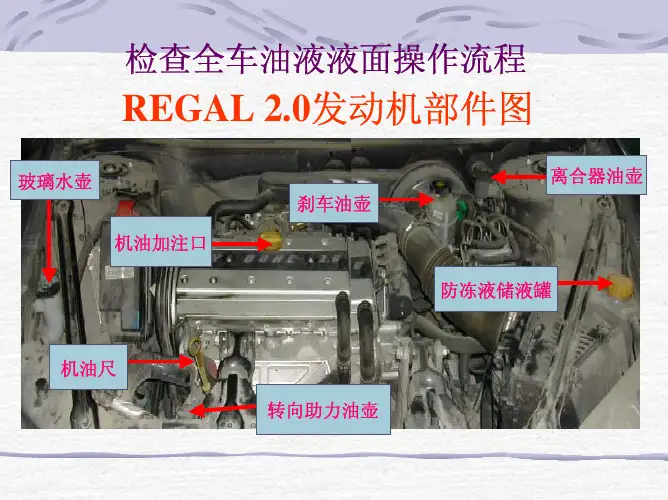 全车油液面检查