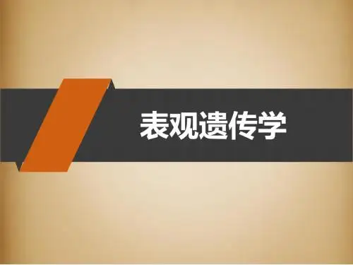 表观遗传学课件 PPT