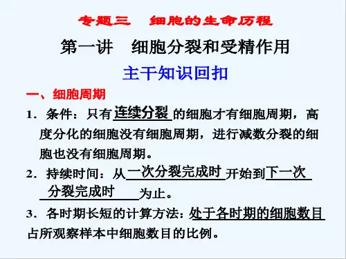 高三二轮复习有丝分裂与减数分裂 PPT