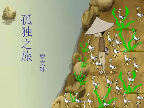 《孤独之旅》ppt课件 公开课