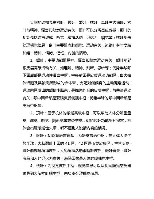 介绍大脑的形态功能分区和保护的内容