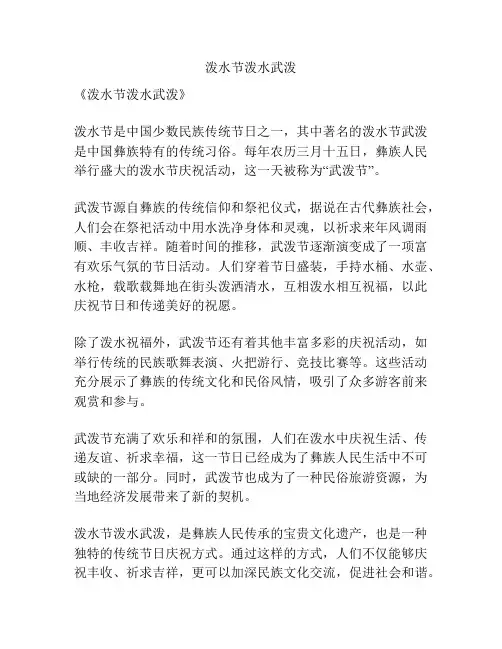 泼水节泼水武泼