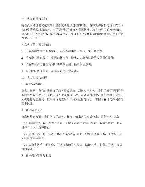 森培实习报告