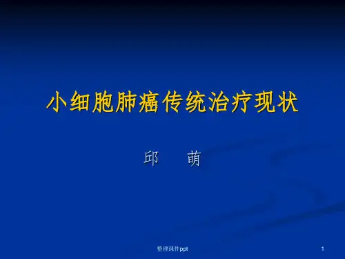 《小细胞肺癌》PPT课件