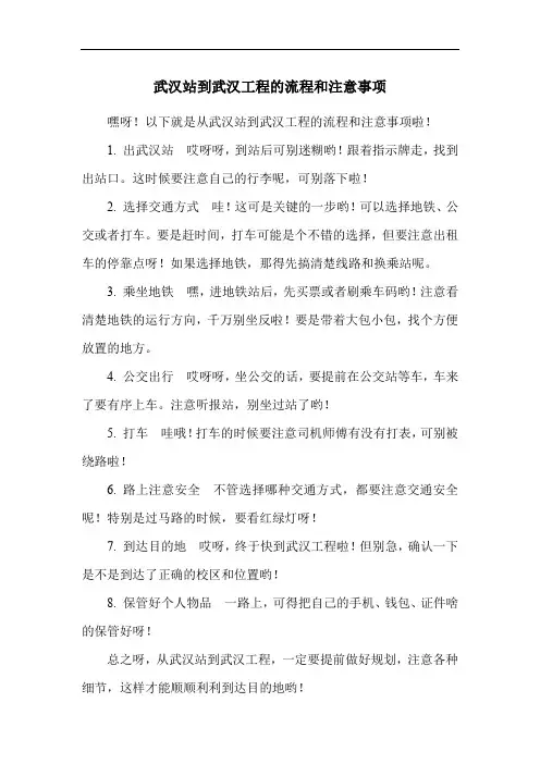 武汉站到武汉工程的流程和注意事项