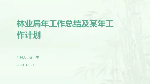 林业局年工作总结及某年工作计划