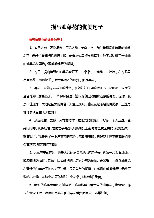 描写油菜花的优美句子4