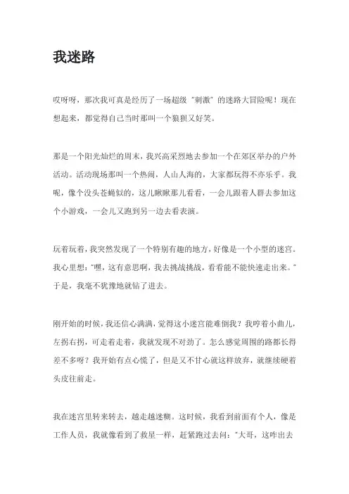 我迷路作文
