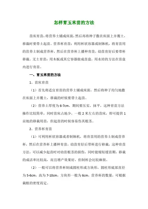 怎样育玉米苗的方法