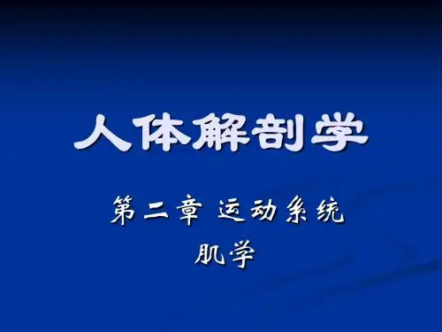 人体解剖学_第二章_运动系统-肌学