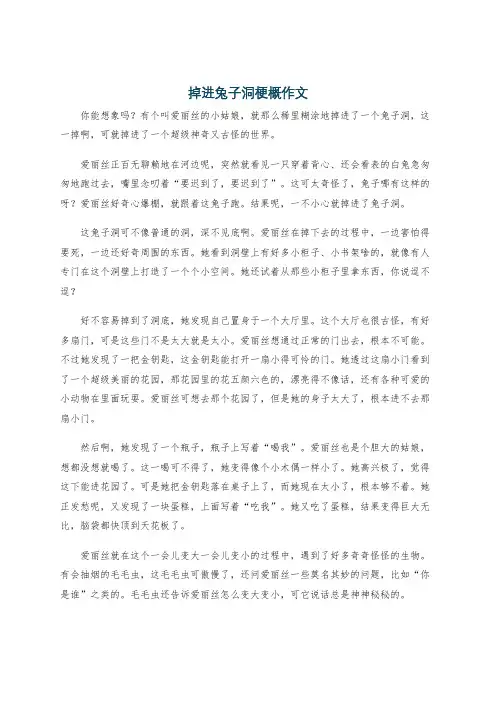 掉进兔子洞梗概作文
