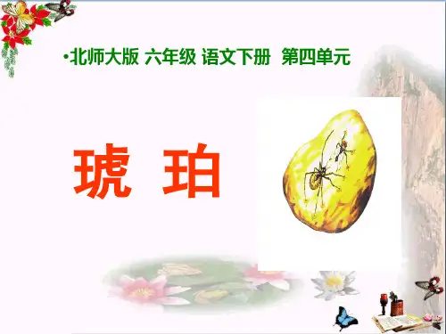 《琥珀》 精品PPT课件(共15张)