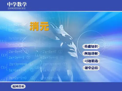七年级数学下册 第八章《消元——解二元一次方程组》课件3 人教版