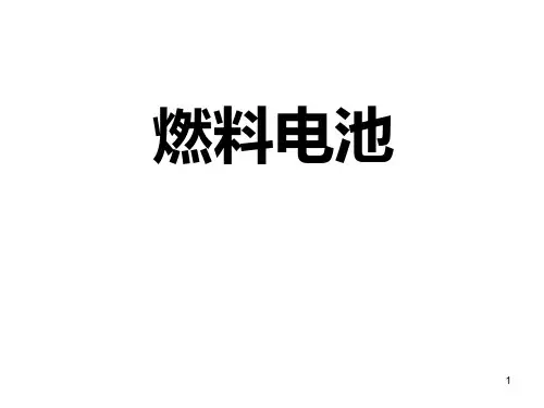 高中化学选修四燃料电池