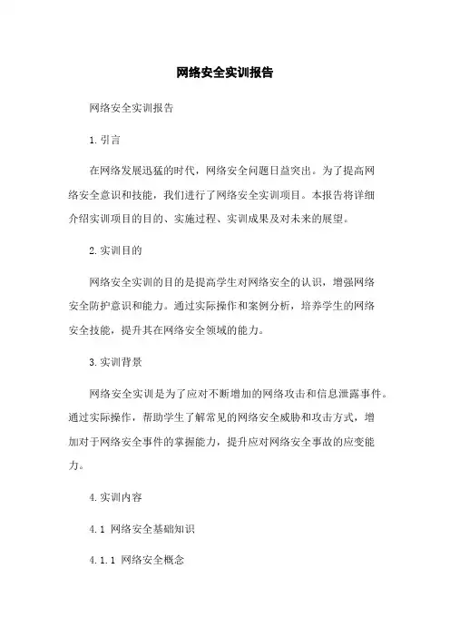 网络安全实训报告