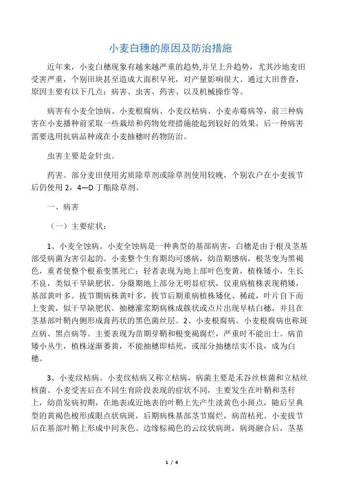 小麦白穗的原因及防治措施