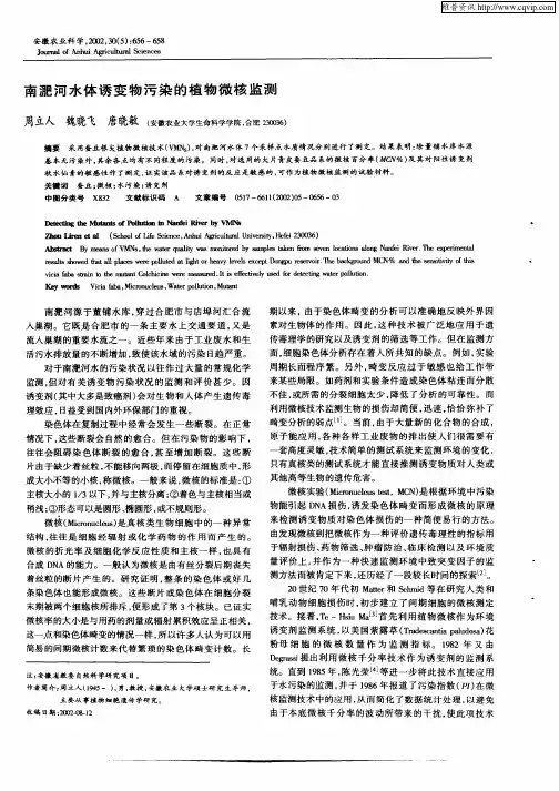 南淝河水体诱变物污染的植物微核监测