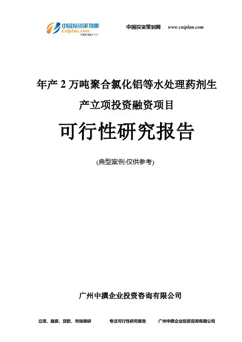 年产2万吨聚合氯化铝等水处理药剂生产融资投资立项项目可行性研究报告(中撰咨询)
