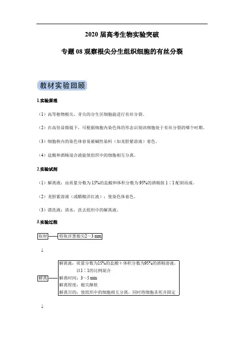 2020届高考生物实验突破 专题08 观察根尖分生组织细胞的有丝分裂(解析版)