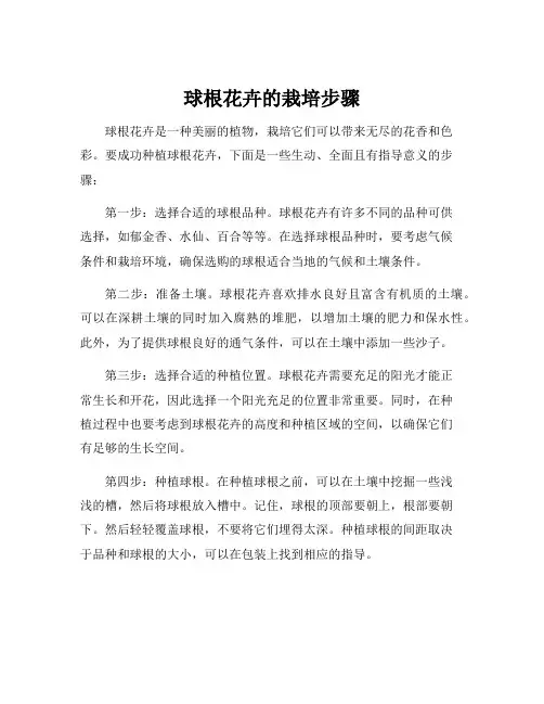 球根花卉的栽培步骤