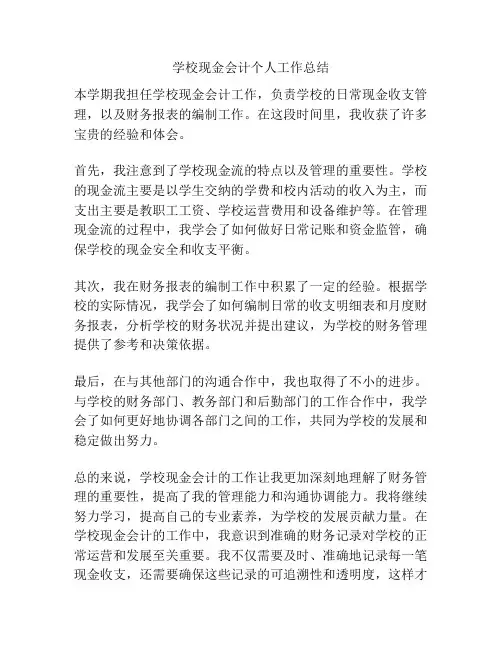 学校现金会计个人工作总结