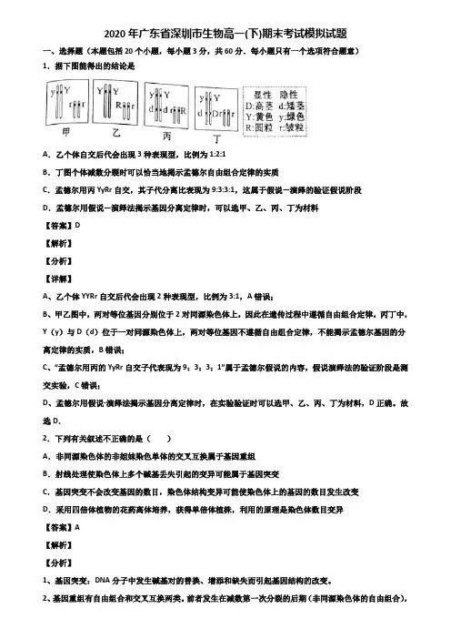 2020年广东省深圳市生物高一(下)期末考试模拟试题含解析