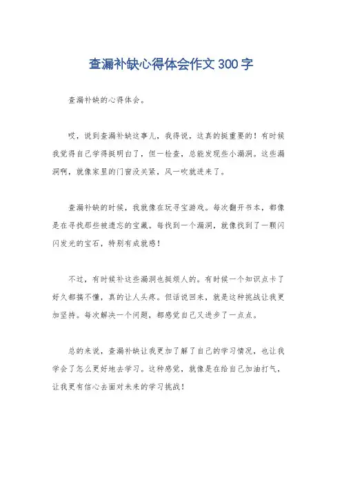 查漏补缺心得体会作文300字