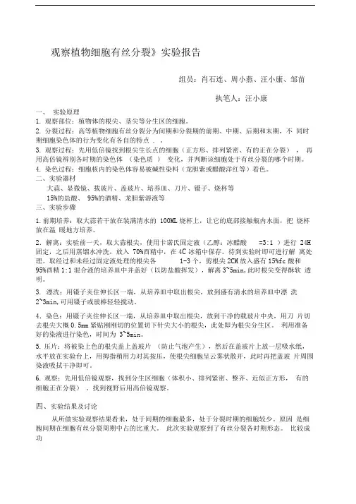 《观察植物细胞有丝分裂》实验报告