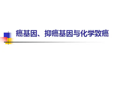癌基因与抑癌基因14研ppt课件