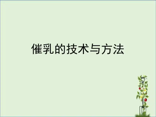 催乳师职业培训课件催乳的技术与方法