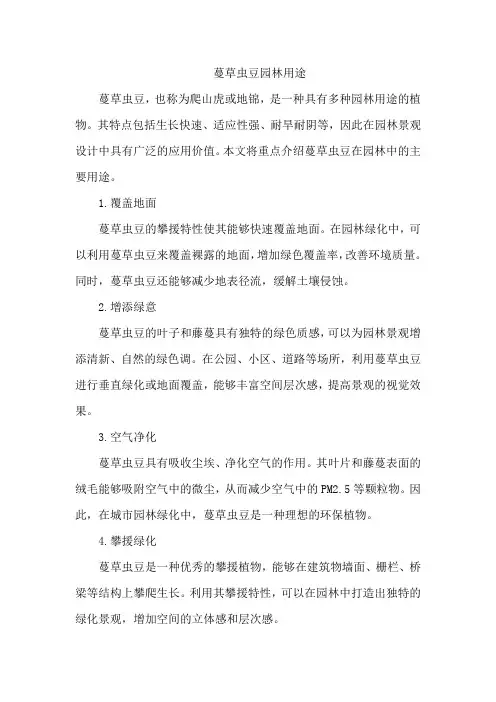 蔓草虫豆园林用途